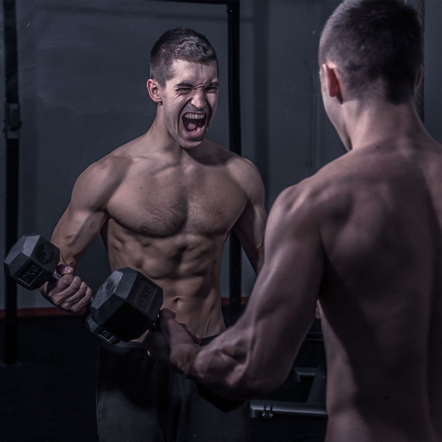 hex dumbbells set
