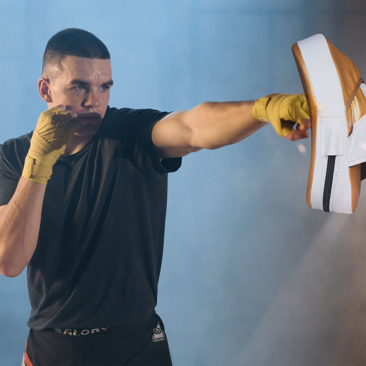 maxstrength boxing equipment,maxstrength fitness accessories,boxing pads uk, boxing target pad uk, focus pads uk,Focus pad mitts