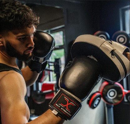 Boxing gloves and Focus Pad Set 