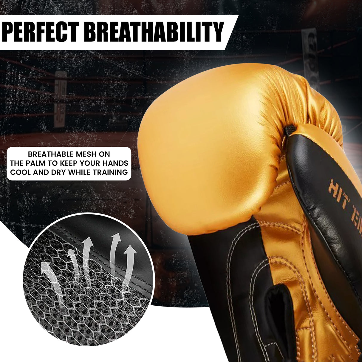 MAXSTRENGTH Boxing Gloves & Focus Pads with 4.5m Hand Wraps | Punch Mitt Set for Muay Thai, MMA, Kickboxing, Sparring Training (Golden series)