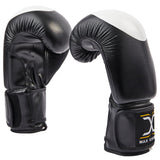 Boxing gloves 10oz