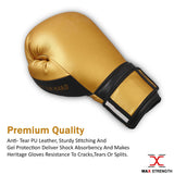 10oz Sparring Boxing gloves